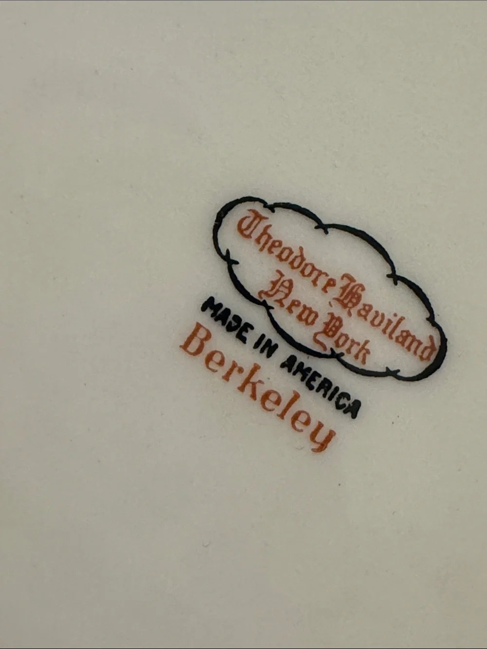 Theodore Haviland New York Berkeley fine china oval platter~ Made in USA-